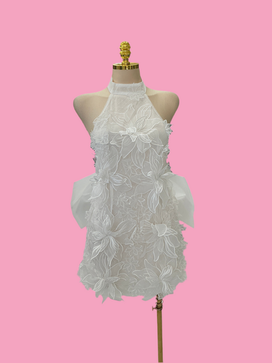 HANNIAS DRESS