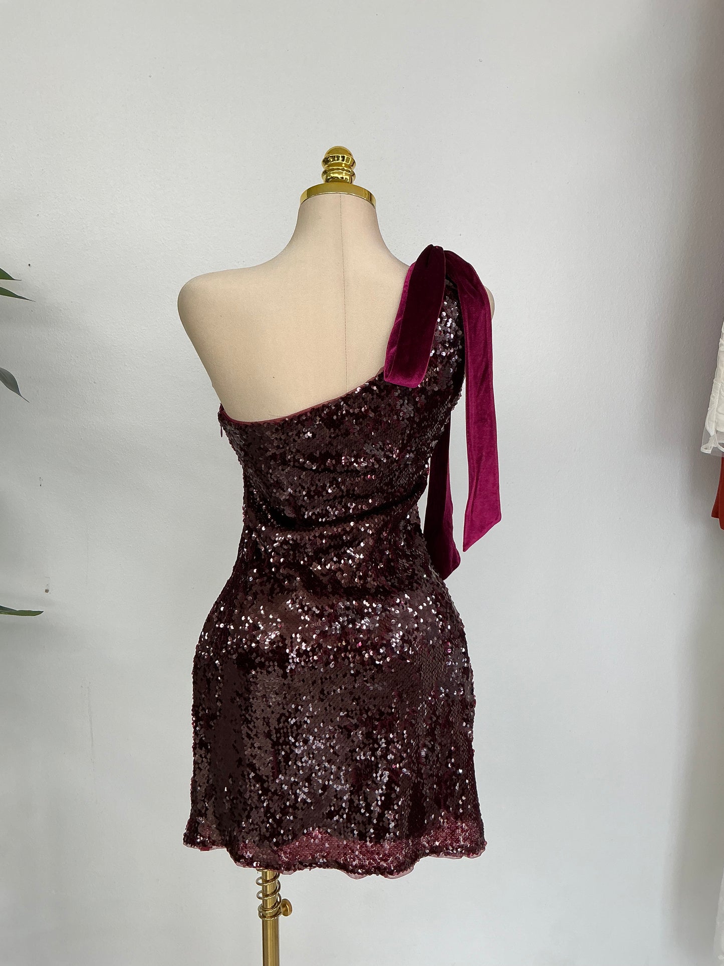 Burgundy dress