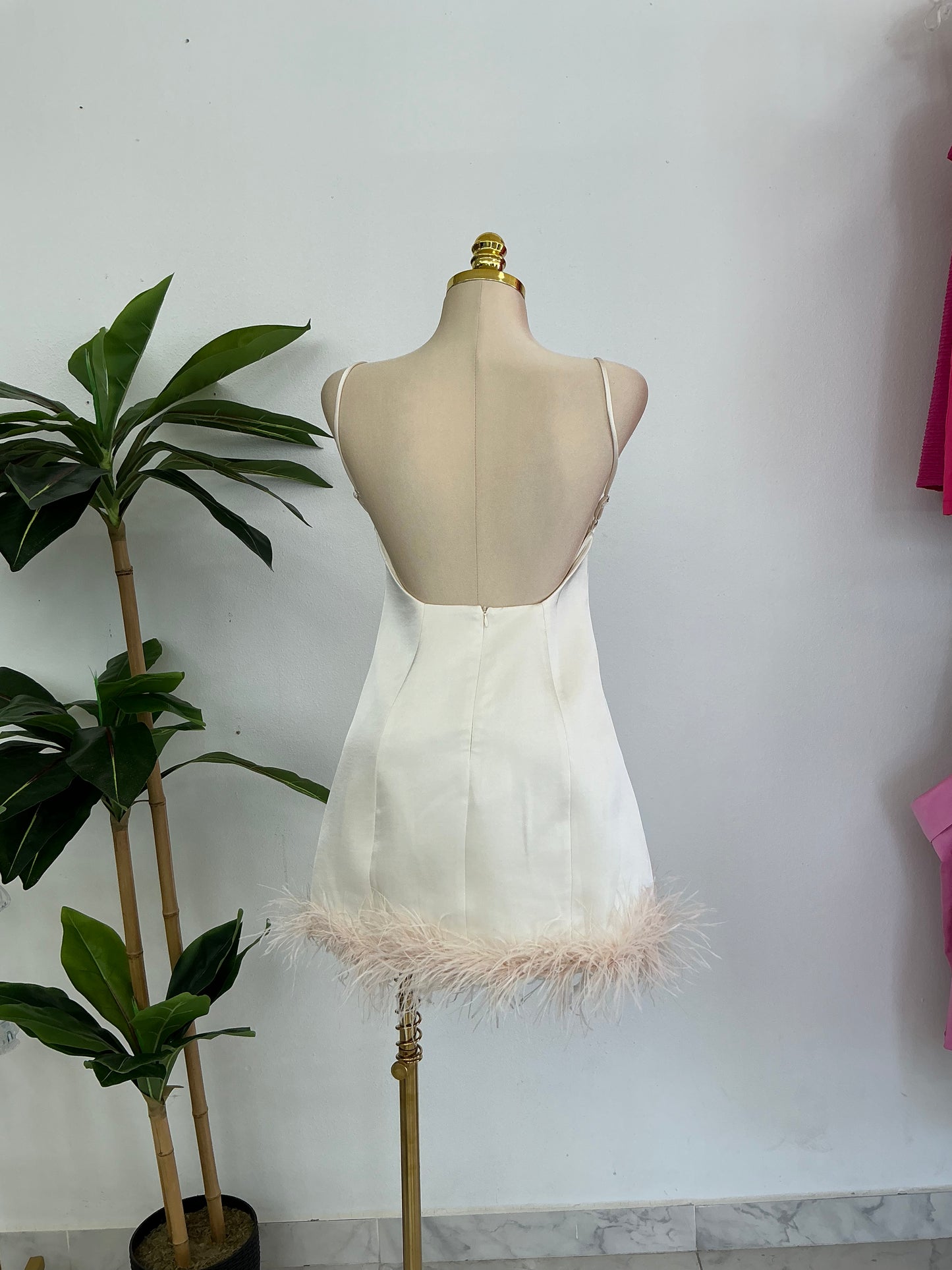Cisne