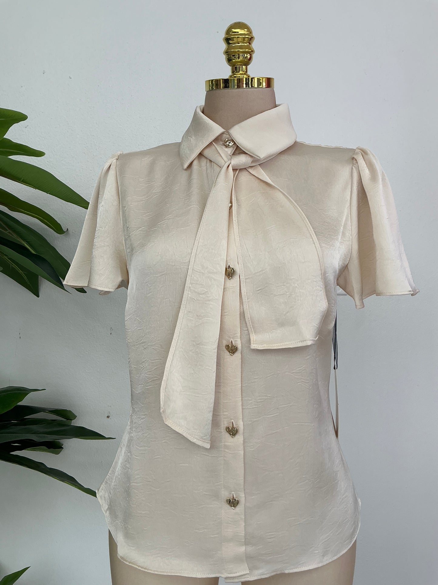 Heart Top